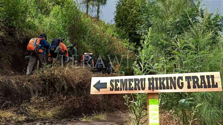 Jalur pendakian Gunung Semeru.