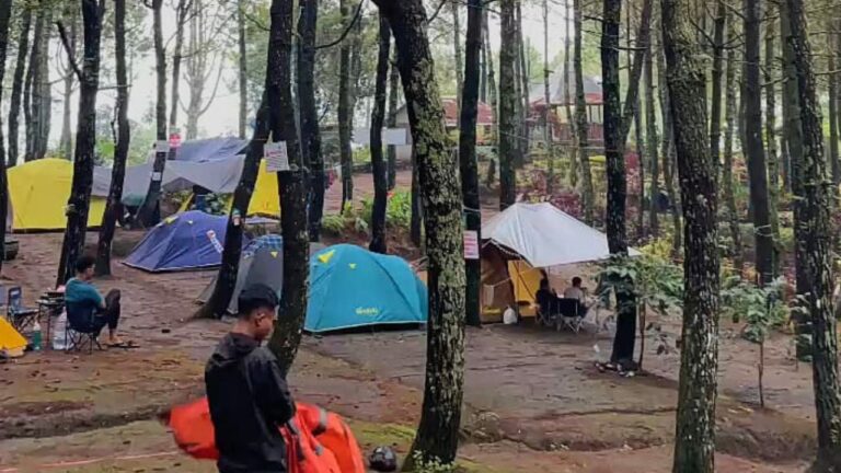 Kemah Seru Menyambut Tahun Baru di Kebun Rojo Camp Malang