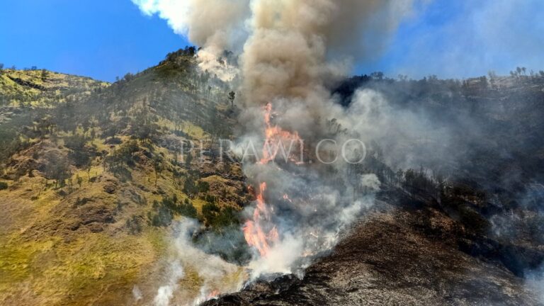 Semua Wisatawan Wajib Patuhi 10 Larangan Saat Berada di Kawasan TNBTS