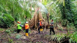 Perhutani Malang 1 (Perawi.co, 10 Maret 2026)